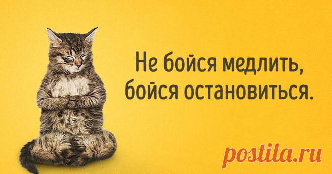 Дзен-мудрости пост