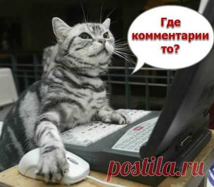 Где и как писать комментарии? (для новичков на Лиру)