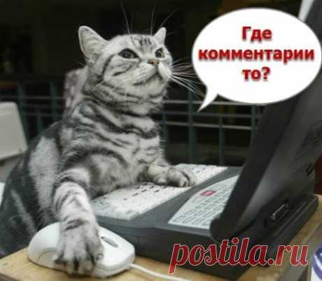 Где и как писать комментарии? (для новичков на Лиру)