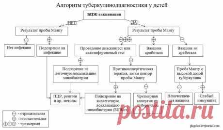 Реакция Манту: с вами разговаривает туберкулез | вакцинация - панацея или смерть