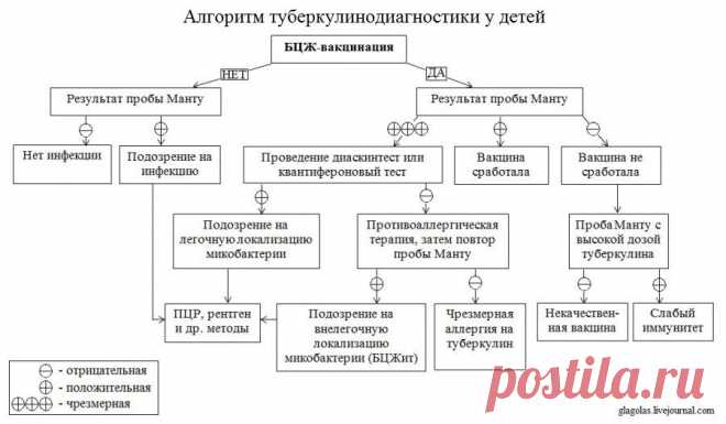 Реакция Манту: с вами разговаривает туберкулез | вакцинация - панацея или смерть