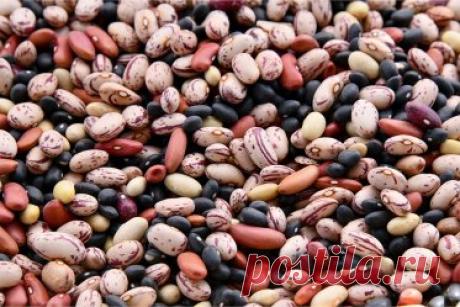 Здоровье кишечника — основа иммунитета: топ-5 продуктов с пробиотиками и пребиотиками. Здоровый кишечника — основа нашей иммунной защиты. Как нормализовать кишечную микрофлору: лучшие источники пробиотиков и пребиотиков среди обычных продуктов, и как их правильно есть.