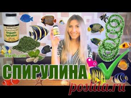 Маски из спирулины для лица: 8 лучших рецептов и отзывы