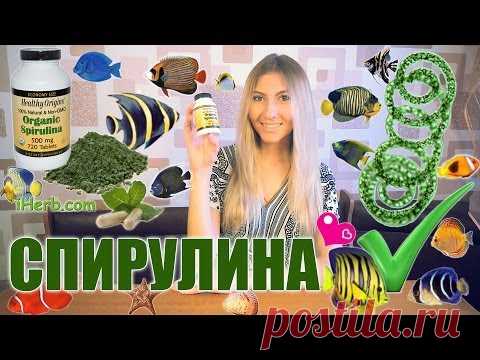 Маски из спирулины для лица: 8 лучших рецептов и отзывы