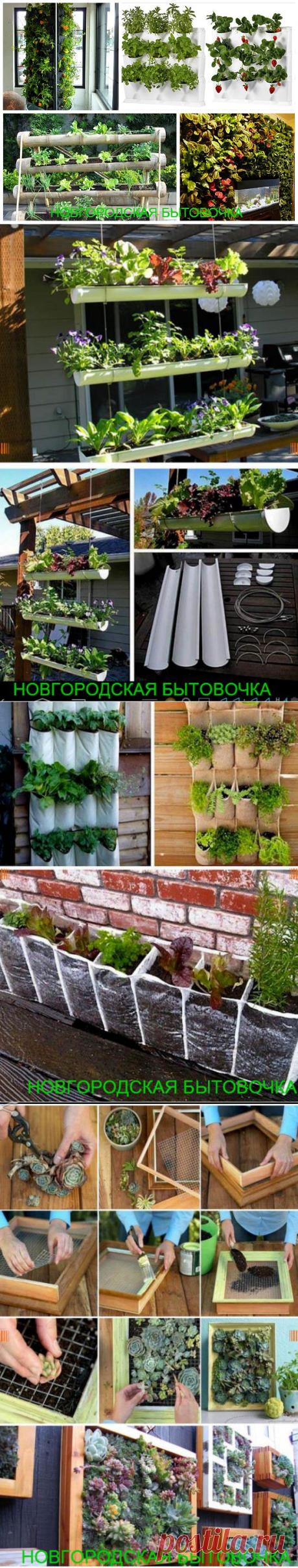 Вертикальные сады - декор своими руками