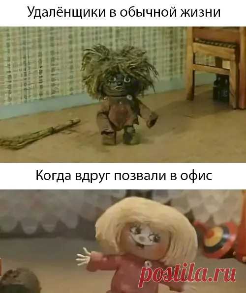 Выпуск №6518 - выпуск анекдотов сайта вокруг смеха