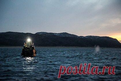 Двое россиян пропали без вести после опрокидывания судна в ледяной воде. В Мурманске двое рыбаков пропали без вести после опрокидывания их судна в морозную погоду. По данным следствия, двое россиян отправились на судне «Буревестник 630» в направлении бухты Кислая в акватории Баренцева моря, чтобы ловить рыбу. Мужчины 32 и 41 лет «оказались в воде в условиях, несовместимых с жизнью».