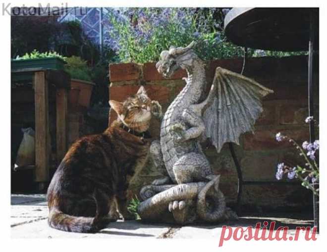 Вот здесь почеши!