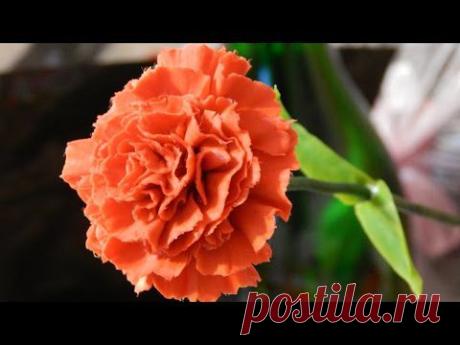 Гвоздика из холодного фарфора \ carnation flower of cold porcelain