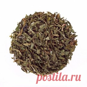 (56) Одноклассники