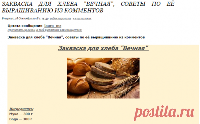 ЗАКВАСКА ДЛЯ ХЛЕБА 