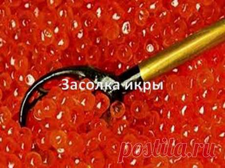 Засолка икры