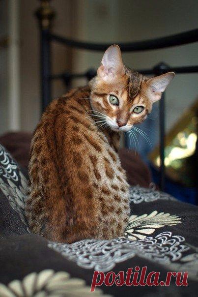 В погоне за счастьем иногда нужно просто остановиться и быть счастливым.