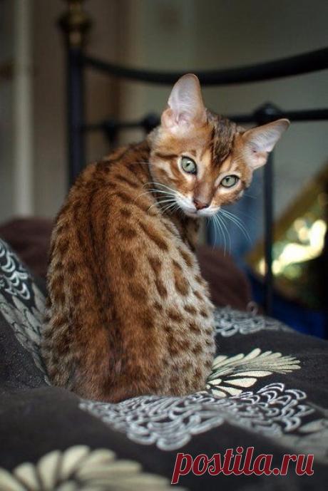 В погоне за счастьем иногда нужно просто остановиться и быть счастливым.