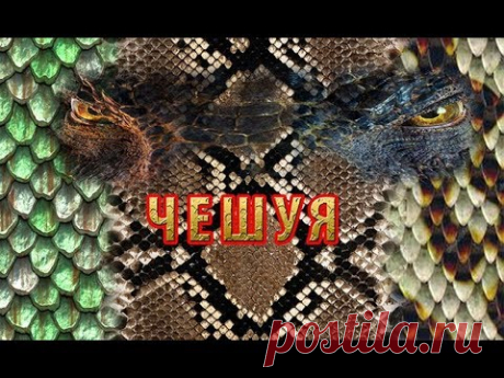 &quot;ЧЕШУЯ&quot; - YouTube