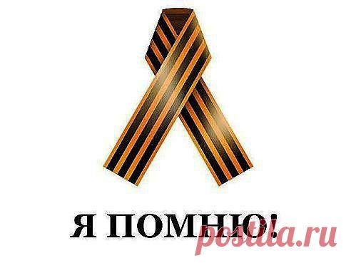 * * * * * * * * * * * *