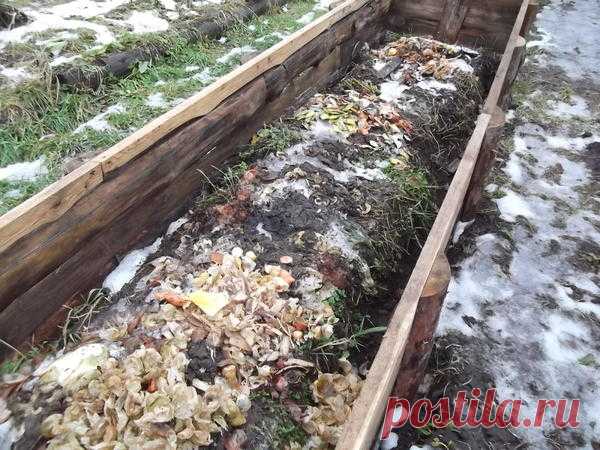 Огородный Каркассон: собери свою грядку