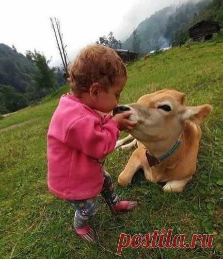 Таня Лукашева - Google+