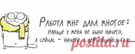 Прикольные высказывания в картинках