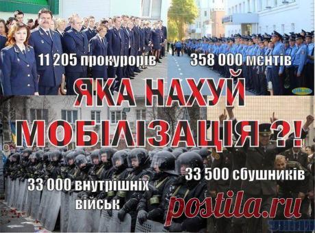 Дмитрий Гармаш