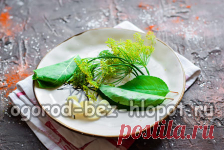 Огурцы без уксуса и без стерилизации хрустящие и вкусные: супер рецепт