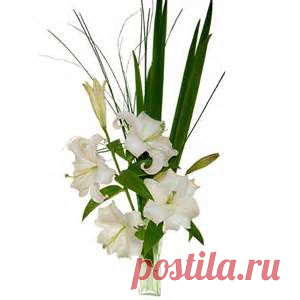 Arreglos De Flores - Bing Изображения