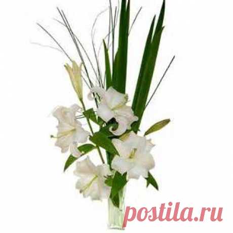 Arreglos De Flores - Bing Изображения