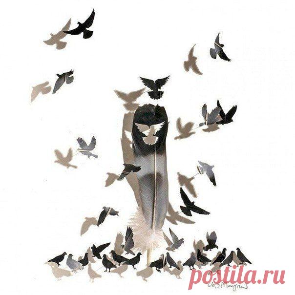 В руках американского художника Криса Мэйнарда птичьи перья превращаются в изящные картины...