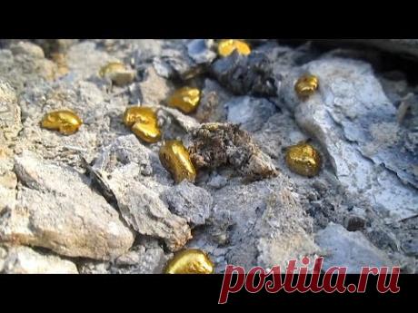 Золото из золы. Электролит и селитра, простой и доступный метод (ПОЛУЧАЕМ ЗОЛОТО)