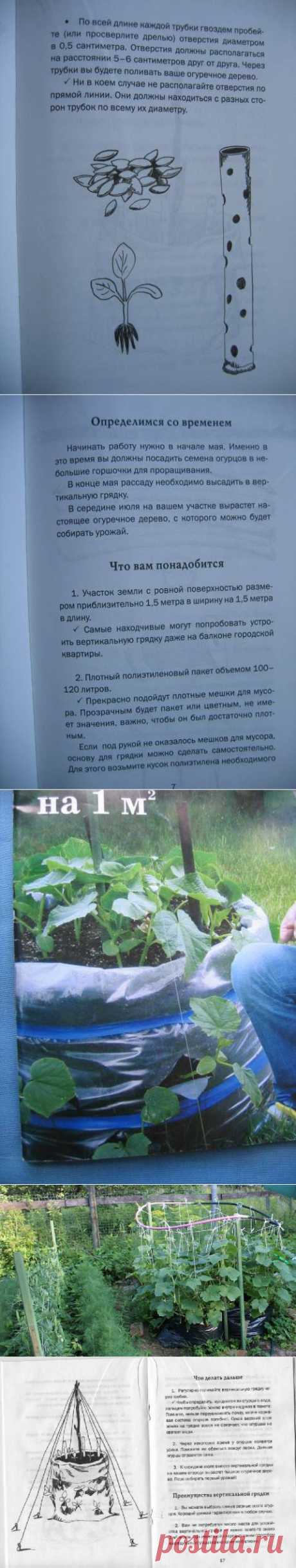 цитата Ольга_Фадейкина : Огурцы из мешка (16:11 26-11-2014) [3517179/344624388] - tropina.kerch@mail.ru - Почта Mail.Ru