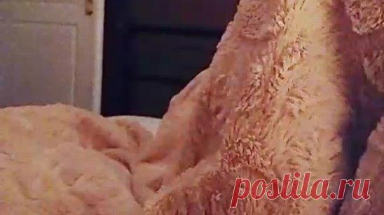 У нас церкви закрыли, а у вас?