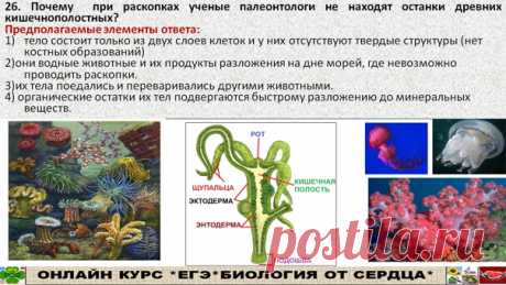 Задание ожидается на ЕГЭ!!!! Похожее задание было на ЕГЭ про причины неполной палеонтологической летописи. Может составители переформулировали вопросы этого задания? Я составила лишь предполагаемые ответы. Может кто что дополнит? пишите в комментариях