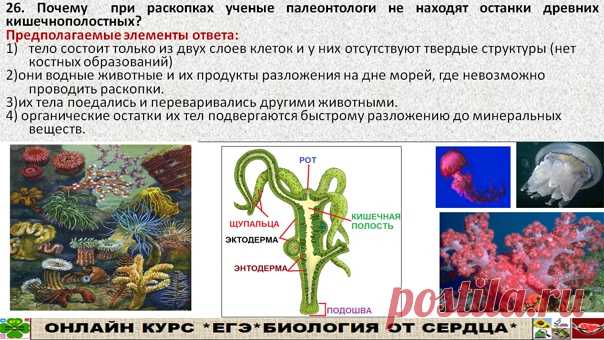 Задание ожидается на ЕГЭ!!!! Похожее задание было на ЕГЭ про причины неполной палеонтологической летописи. Может составители переформулировали вопросы этого задания? Я составила лишь предполагаемые ответы. Может кто что дополнит? пишите в комментариях