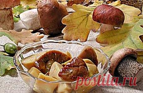 Засолка белых грибов на зиму, рецепты соленых грибов