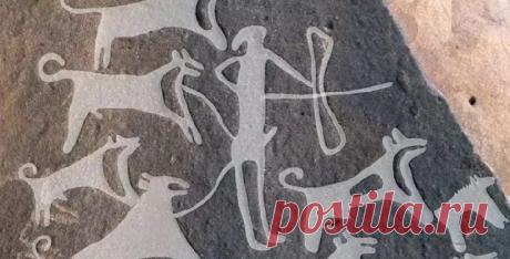 Первое насколько изображение собак на поводке обнаружено в пустыне Саудовской Аравии | История