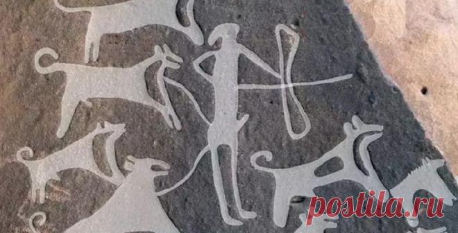 Первое насколько изображение собак на поводке обнаружено в пустыне Саудовской Аравии | История