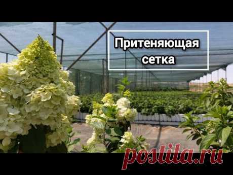 Притеняющая сетка. Как выбрать. Нюансы в использовании