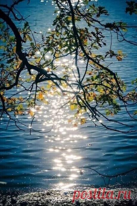 i (530×794)