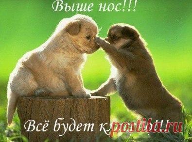 это точно!
хочешь зарабатывать в Интернете без вложений и продаж? посмотри