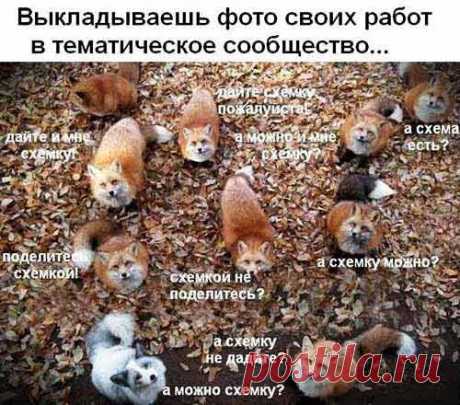 Фразы о рукоделии, карикатуры и анекдоты - большая подборка