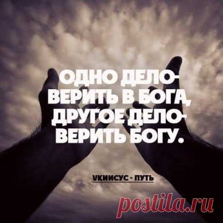 Развенчивание эволюции. Неопровержимая совокупность доказательств библейского Потопа | Блог Сергей Атаманов | КОНТ
