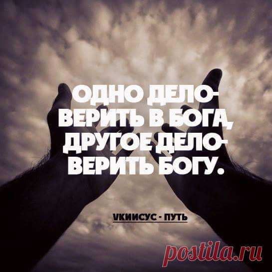 Развенчивание эволюции. Неопровержимая совокупность доказательств библейского Потопа | Блог Сергей Атаманов | КОНТ