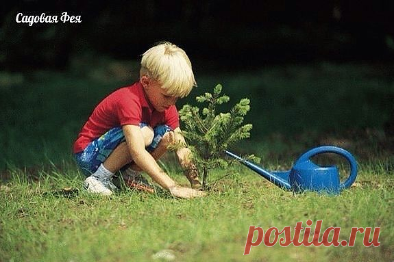 (3) Одноклассники