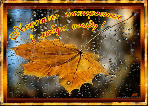 У природы нет плохой погоды