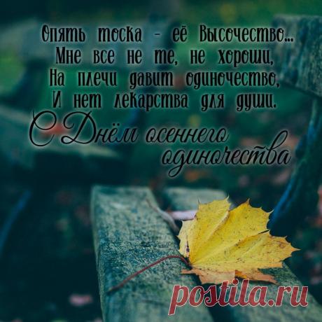 Желаю, чтобы в сердце царила уверенность, в доме — мир и уют, а в жизни — только добрые перемены. Открытки на День осеннего одиночества!