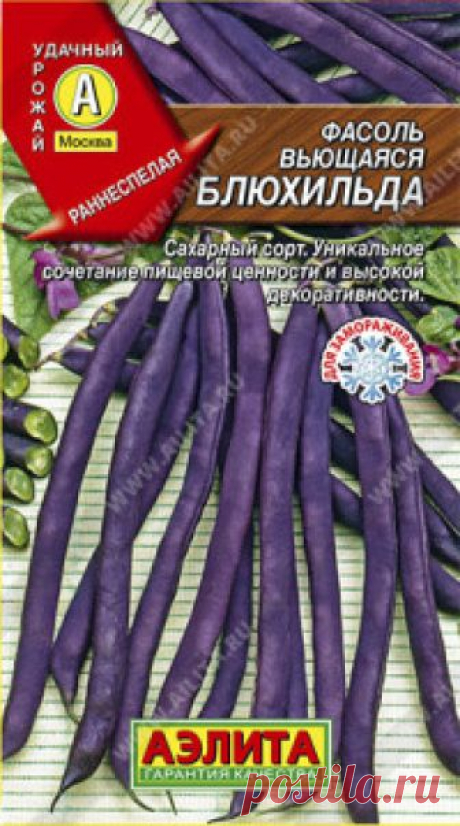 Семена. Фасоль вьющаяся "Блюхильда" (вес: 5 г) Всхожесть: 99%.
Высокобелковый сахарный сорт, плодоносит примерно через 70 дней после массовых всходов. Отличается отменной урожайностью в любом регионе. Интересен длинными, интенсивно окрашенными лопатками, без пергаментного слоя и волокна. Растения высокорослые, формируют вьющиеся...