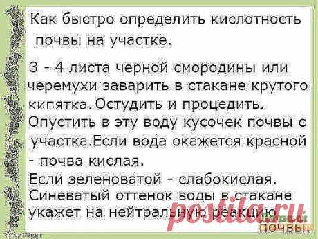 Как вам?