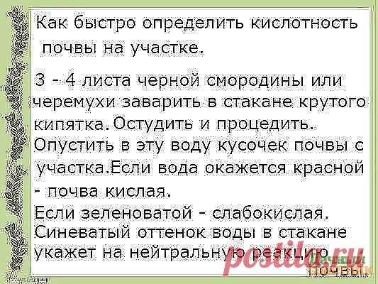 Как вам?