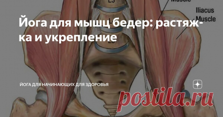 Йога для мышц бедер: растяжка и укрепление Статья автора «Йога для начинающих для здоровья» в Дзене ✍:    Что такое позы йоги для бедер?  Мы все слышали о йоге для похудения.