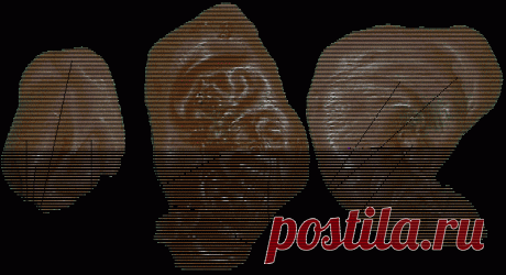 Отливки на воск: Испуг, Сглаз, Переживания, Остатки порчи